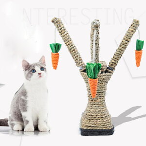 uGg[Ń|Cg10{ vlR܂Ƃ  L ጓp L  ܂Ƃ ߂Ƃ lR̒܂Ƃ ܂݂ lCPA ˂ Lbg Lp lQ JCC CeA  