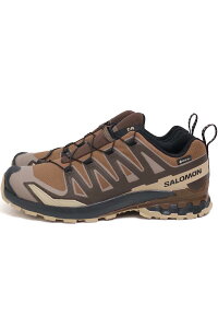 fB[X Y SALOMON T XA PRO 3D V9 GORE-TEX gCjOV[Y