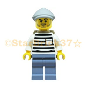 S VeB D_ ~jtBO n`OXqD_̒j[60455] LEGO ΂甄