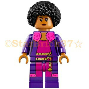 S ~jIY~jtBO xE{g[40511 etc.] LEGO ΂甄