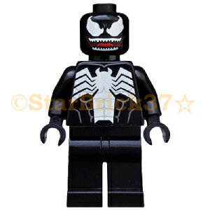 S X[p[q[[Y~jtBO Fm[30707] LEGO ΂甄