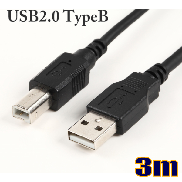 送料無料新品 人気カラーの USBケーブル タイプAオス-タイプBオス ゆうパケット便送料無料 USB2.0タイプAオス-タイプBオス 3m US2B030M スターケーブル jaspreetkaur.com jaspreetkaur.com