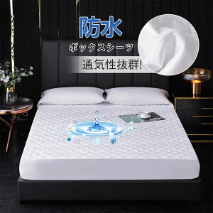 {bNXV[c xbh }bgX Jo[ xbhV[c  tBbg ~zc h VO _u 30  ق肪oɂ Ȃ