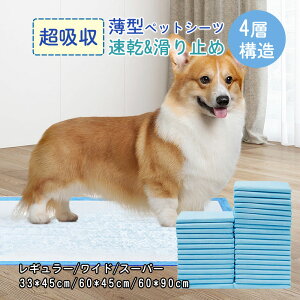 ybgV[c ^ Ch ĝ X[p[Ch ybgpi gCV[g 400 200 Xs[hz ˂  bg