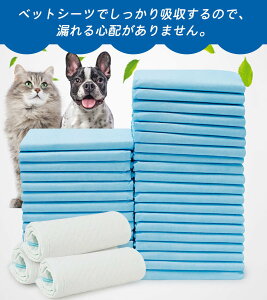 ybgV[c ^ Ch ĝ X[p[Ch ybgpi gCV[g 400 200 Xs[hz ˂  bg