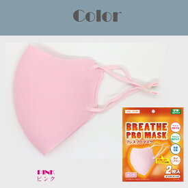 マスク 冬用 温活 ブレスプロマスク 洗える 布マスク 2枚 おやすみマスク うるおい ドライマウス カラーマスク 立体型 息がしやすい 耳が痛くならない のど 喉 乾燥対策 ドライマウス フェイスマスク 布 潤い 保湿 防寒 あったか 温かい 秋冬 厚め メール便送料無料