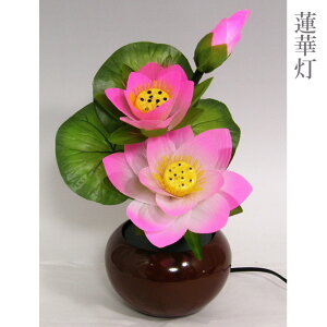 ~ @ؓ nQ No75 ~iXsN 35cm [~ ~ V~ ~pi ~Ipi]