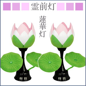 ~ ~  @ؓ yfk-8852-81-001 27cm [~傤  d ~pi ~Ipi RpNg]