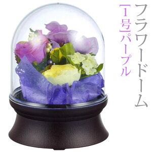 ~ R[hX ~jTCY [t[h[] 1 [p[v ] LED C{[ [RpNg V~ ~ ~  ~傤 u O _]
