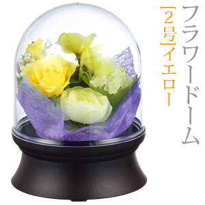 ~ R[hX ~jTCY [t[h[] 2 [CG[ ] LED C{[ [RpNg V~ ~ ~  ~傤 u O _ ]