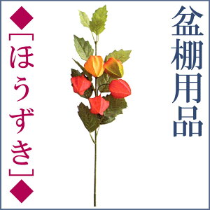 ~ ~傤 ~Ip ~ȗp ق  5 [V~Zbg ~Zbg ~]