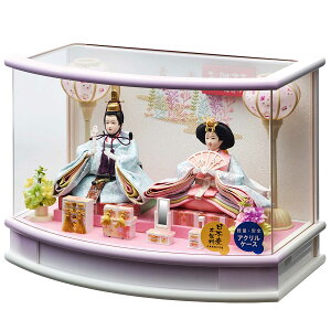 l` ЂȐl` 킢 P[X [Ƃ͓e] 253-225  RpNg  P[X ~jTCY