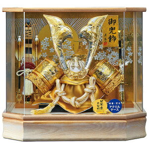 ܌l` P[X  [ZpR] 215-705 [RpNg 퍑  AN P[X][ST]