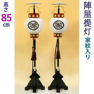 ܌l` w Ɩ 6 [85cm] [Γ] [ߋ j̎q Pi i RpNg  Z e Oi]