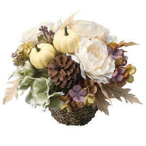 [SL] nEB ڂ   u [I[^AW] [SE17-2-6] 19cm [J{`  CeA  IuWF  G p[eB[ NX}X]