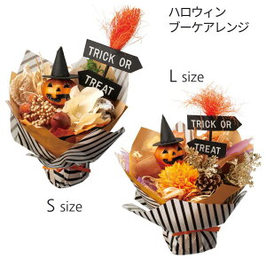 nEB ڂ   u [nEBu[PAW] S-L [SE17-13-4] 19-21cm [J{` IuWF  G CeA  p[eB[ NX}X]