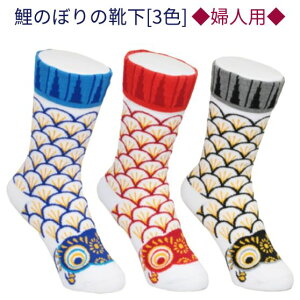 ̂ڂ  ObY   ûڂ̌C wlpv [  ] [3F] [킢 G ~jTCY] yyMt_z