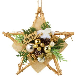 NX}X [X  [S[hX^[] [SE48-46-5] a25cm [ G k u CeA I[ig IuWF fR[V p[eB[ c[ ObY X'mas christmas]