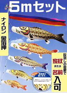 [PC]̂ڂ p   5m Zbg A~ |[ʔ