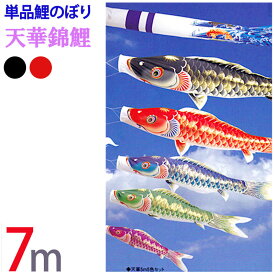 五月人形 鯉のぼり 単品 こいのぼり 天華錦鯉 撥水加工　7m 全2色