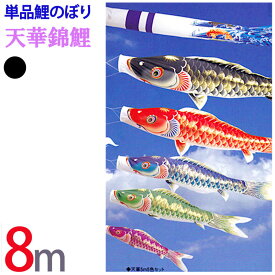 五月人形 鯉のぼり 単品 こいのぼり 天華錦鯉 撥水加工　8m 全1色