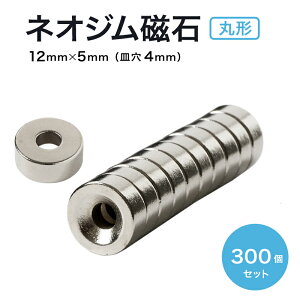 y9/19~24 Simax10OFFzlIW lIWE 12mm×5mm M4mm lW ی^   }Olbg N35 iv  DIY ItBX  q  ̎s ܂Ƃߔ (X^[