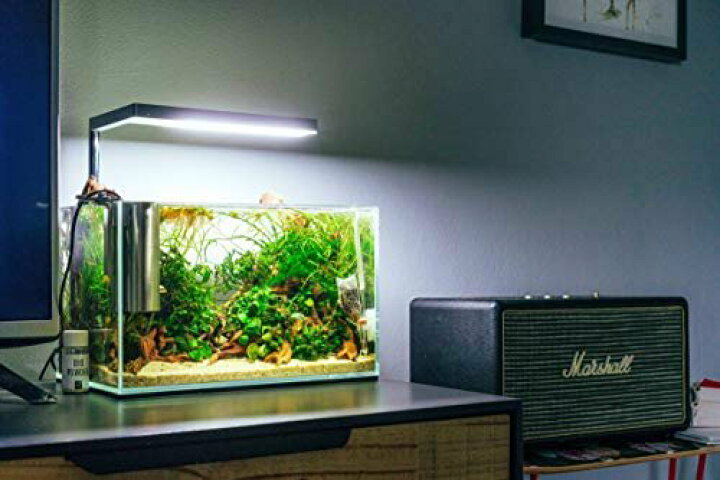 Onf 水槽 ライト アクアリウム Led 水草植物育成ライト 小型 対応サイズ 25cm 30cm 36cm タイマー 付き スマ 代引き手数料無料 Onf 水槽 ライト アクアリウム Led 水草植物育成ライト 小型 対応サイズ 25cm 30cm 36cm タイマー 付き スマ 代引き手数料無料