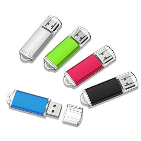 RAOYI USBメモリ 32GB USB2.0 5個セット キャップ式 コンパクト 5色（黒、赤、青、緑、銀）