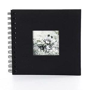 DFsucces Ao vo diy  Ao 䎆 DIYʐ^W ƋLOW Ԃʐ^W LO a v[g (ubN)