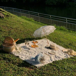 W[V[g sNjbNV[g sNjbN}bg CX^f ^ ؗ  [X̕zfUC Ԍ  Lvpi ʐ^B̔wi 2~3lp TCY(90*150CM zCg)