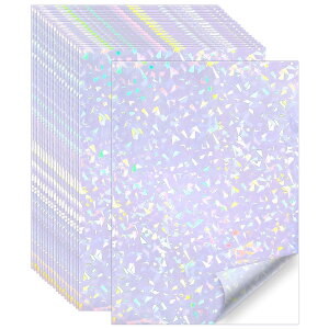 COOLBOTANG �z���O���� �V�[�� ����ł��� 20�� A4�T�C�Y �X�e�b�J�[�p�� �z���O�������x���V�[�� �z���O���t�B�b�N ���� �h�� ������ ���S�� �͂����� �L���L�� DIY�X�e�b�J�[ �C���N�W�F�b�g/��