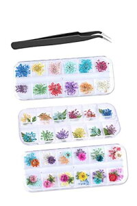 YFFSFDC lCA[gp[c hCt[ lC 36 3{bNZbg hCt[ [X 3D lC fRp DIY lCp[c  [P[Xt sZbgt