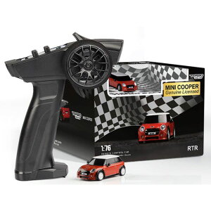 nCebN RC WR ^[{[VO I[hJ[ 1/76 ~jN[p[