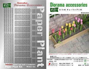 aI n y[p[Ntg WI}ANZT[Lbg 1/48 `[bv A-3-48