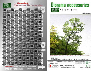 aI n y[p[Ntg WI}ANZT[Lbg 1/48 I[N A-5-48