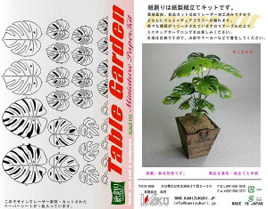 aI n y[p[Ntg 1/12 e[uK[fLbg ԁE Xe G-25