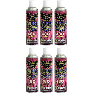 mw KXKpKX T_[V[g HFC134aKX 480g 6{Zbg