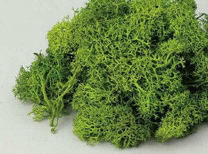 A[ebN ACXhX tbVO[ 047756