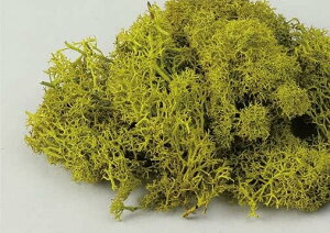 A[ebN ACXhX XvOO[ 047759