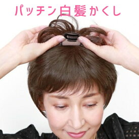 楽天市場 部分ウィッグ つむじ 美容 コスメ 香水 の通販