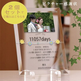 新郎新婦2個セット 「ピクチャー感謝状」 ガラス楯 両親 プレゼント 贈呈品 結婚式 オーダーメイド