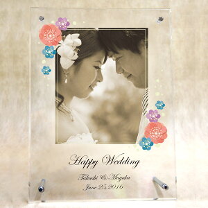 ANv[guEBbVt[v[gv/j LO  ʐ^