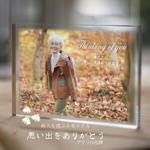 vo肪Ƃ@ANʔv@jg 茳{ ȕd  ʔv