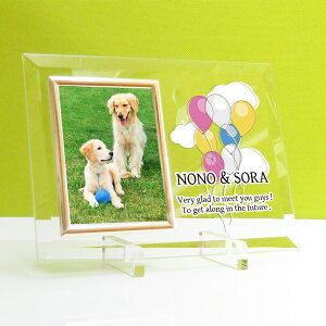 ペットメモリアル フォトフレーム「バルーン」写真盾(たて)名入れ 御仏前・記念品・ペットの仏具