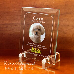 ybgA ûЂ烁Av 12×14Z`KX| voʐ^