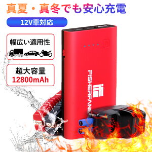 y2025ŐVz  oCN WvX^[^[ e12800mAh ^y 12V s[Nd1000A QDSPu[X^[Zp ő7.2LK\ԁE5.5fB[[ԑΉ Type-C LED}Cg hЃObY G