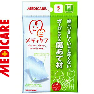 ���f�B�P�A �����č� M�T�C�Y 4cm×6.5cm 5�� ���X���m�O/���t��^���z������E���Ȃ��|���G�`�����V�[�g�ł͂��񂾃T���h�C�b�`�\���̃p�b�h/���ɂ������ɂ����̂Ŏ��ւ����̒ɂ݂��y��