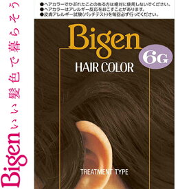 ビゲン ヘアカラー 6G 自然な褐色 40mL+40mL ＊医薬部外品 ホーユー Bigen ヘアカラー 白髪染め 白髪隠し