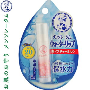 \[^ EH[^[bv SPF20/PA+ CX`[~N 4.5g [g//X[p[qA_/AGxtGLX/R[Q/n`~c/ӂ/c/т/ق̂F