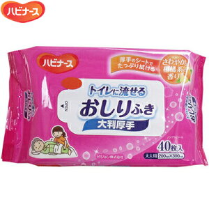 nri[X gCɗ邨ӂ 唻 40 sW^q nri[X pi rPA ӂ @^I @